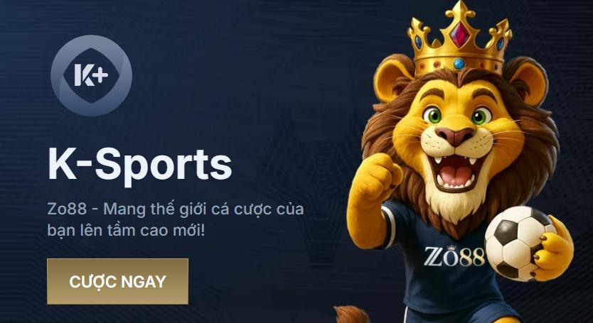  Lưu ý khi cài đặt Zo88