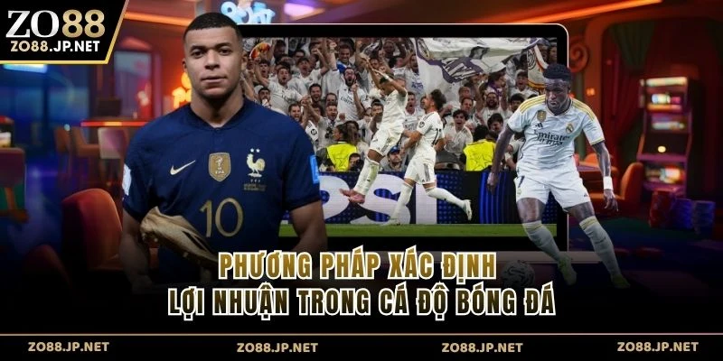 Phương pháp xác định lợi nhuận trong cá độ bóng đá